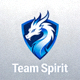 Team Spirit战队Logo - 蓝白相间的龙形标志
